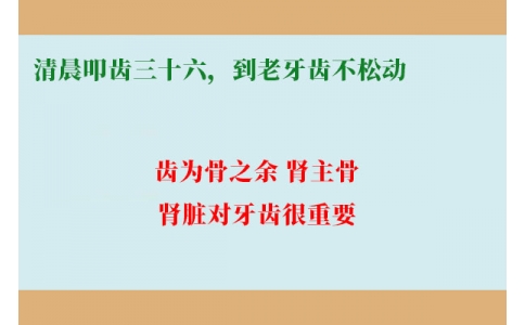 清晨叩齒三十六，到老牙齒不松動(dòng)