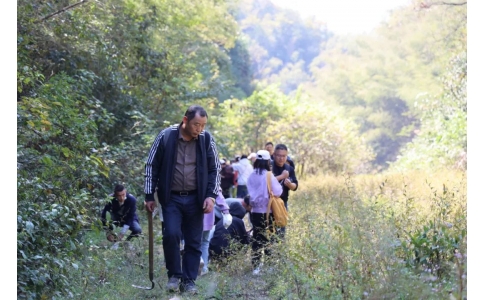 踏秋尋寶，聞香識(shí)藥！首屆神農(nóng)杯野外識(shí)藥大賽在株洲鳳凰山景區(qū)成功舉辦！
