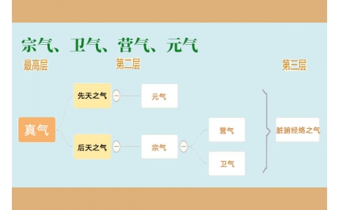 中醫(yī)里的“宗氣”、“衛(wèi)氣”、“營氣”、“元氣”